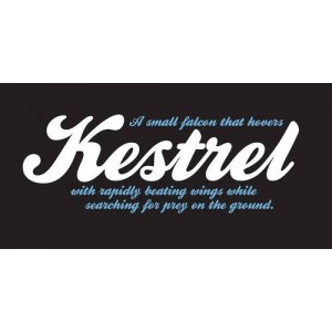 「英文++字体+安装包」