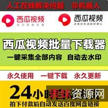 西瓜视频电影电视剧下载器