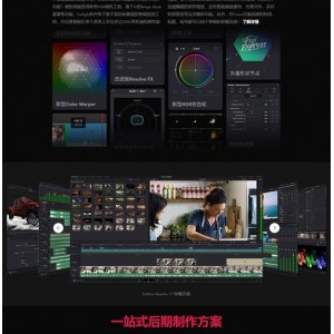 「达芬奇调色软件v17.0激活版」