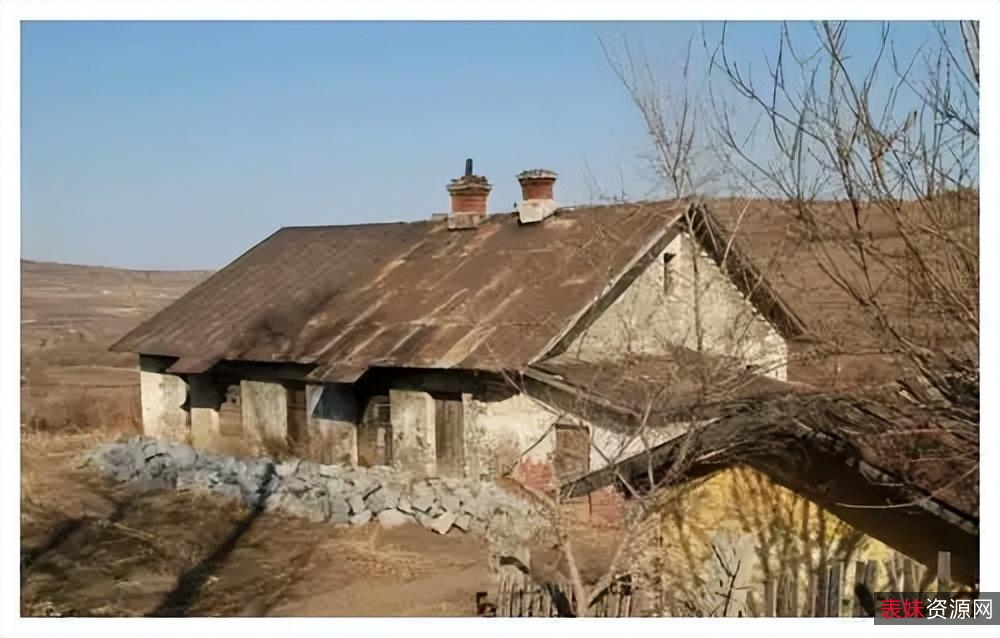 《金福南sha+ren+shi+jian：文章、视频、图片、链接、阿里云盘资源及倍速视频播放》