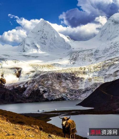 决战鬼哭谷4K：H265+AAC编码，4K超清画质，YYDS视频APP和阿里云盘支持，倍速播放！