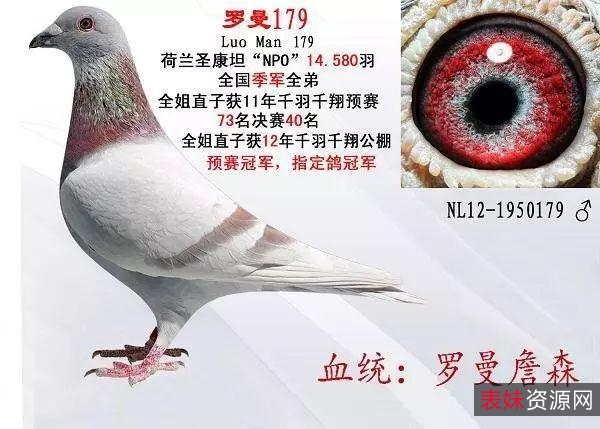 《国家冠军：罢工怒潮，值得尊重的学生运动员（2021）WEBDL-2160p》