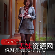 M类视频精品合集：变T暴力、多人游、双人游戏、打桩机等，满足你的口味口味重题材！