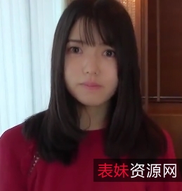 2V1.69G双部fc游戏光盘