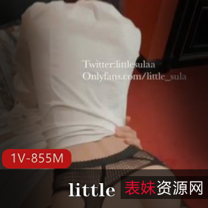 『Little』圣诞甄选，1V855M，网红OnlyFans收费作品