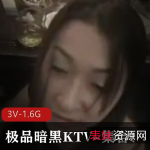 暗黑KTV公主女神3V-1.6G短资源剪辑，冲刺交友车衣下水道观看