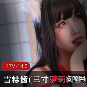 雪糕酱超人气妹子视频合集14.2G