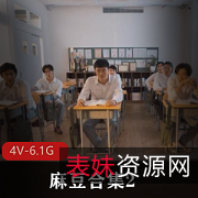 麻豆合集2：4个视频，总大小6.1G
