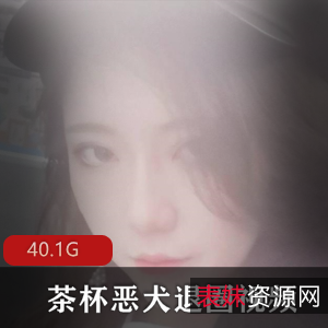 微博女神茶杯恶犬稀缺视频合集，40G巨无霸套装！