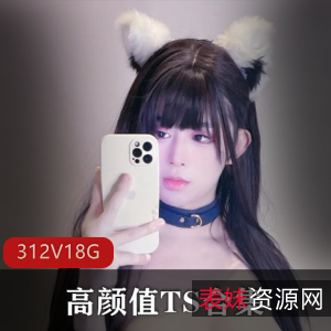 露脸高颜值TS合集，312个视频18.4G，TS李智贤、TSdingkubel等人，推特OnlyFans精华，下载收藏不容错过