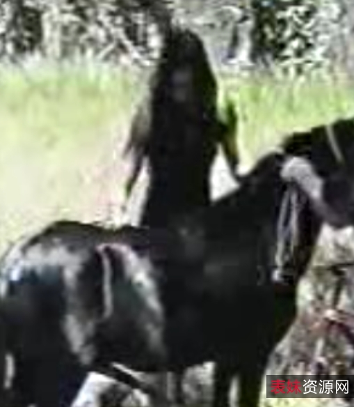 免费马合集视频分享：127个视频，总27G，解压密码在本站留言中找