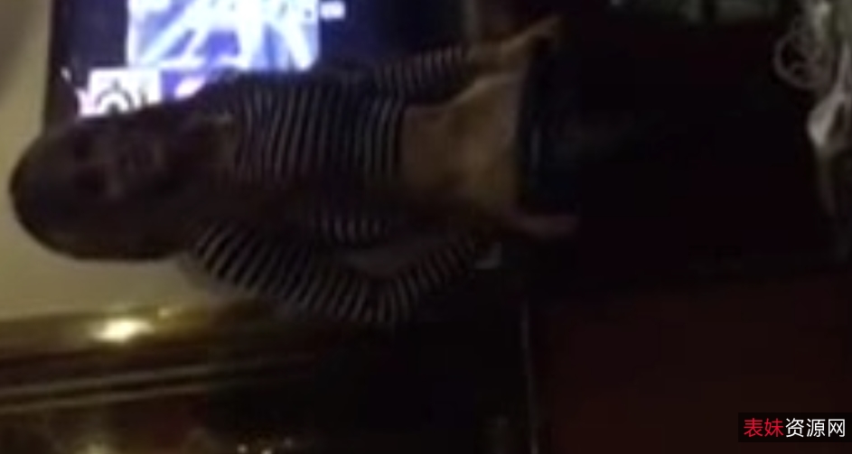 TS伪娘合集111g补：收藏解压，每个人的独特选择