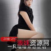 FL姬白丝大礼包萌栈腿控合集21G，绅士必备