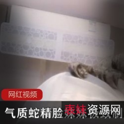 小狐仙露瑶热辣服装展示1.3TB私藏完整版