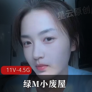 小废屋绿M抖音风剪辑合88部50G太感觉