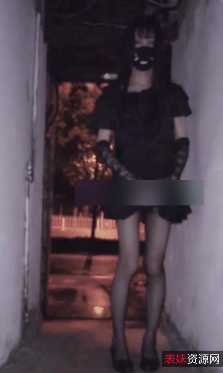 百度xixiyaxixi伪娘视频合集64部73.3G，收藏113