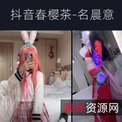 春樱茶野餐兔十字架抖音合集28V2.2G优质珍藏